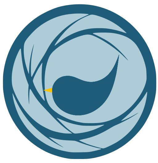 Logo Nestify